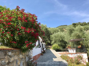 Casa Uliveto